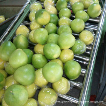 Pomelo frais de miel de nouvelle récolte